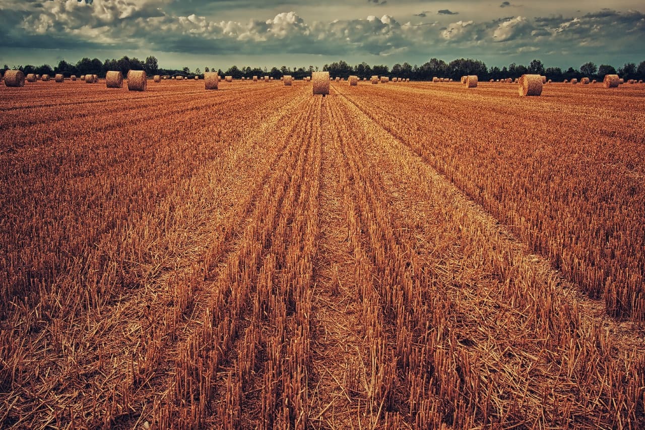 AgTech innovation blooms in fertile ground